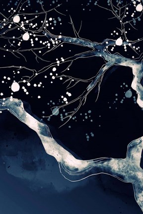 Framed Cherry Blossom Branch Print