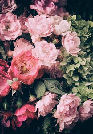 Framed Floral 28 Print