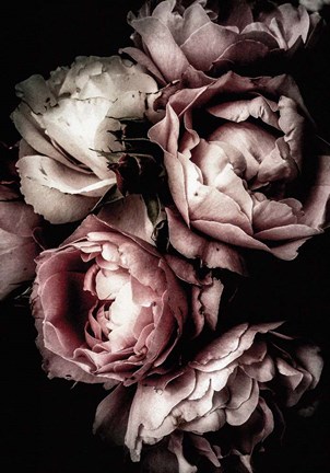 Framed Floral 30 Print