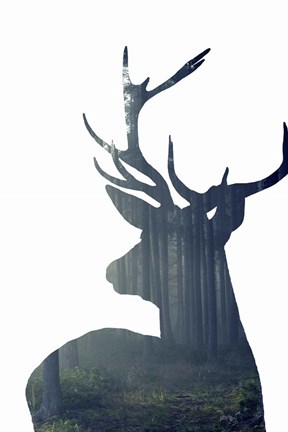 Framed Forest Deer Silhouette Print