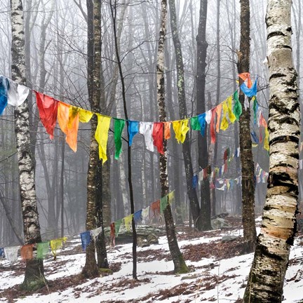 Framed Prayer Flags, Woodstock, NY Print
