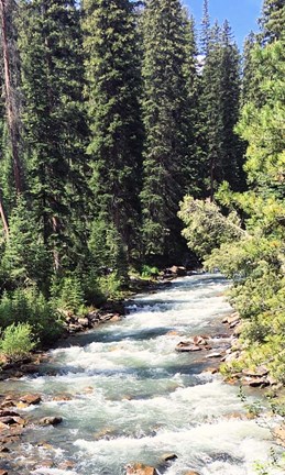 Framed Mountain River Print
