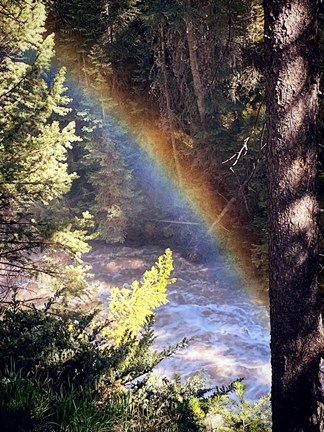 Framed Stream and Rainbow Collide Print