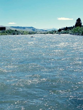 Framed Natures Beauty Print