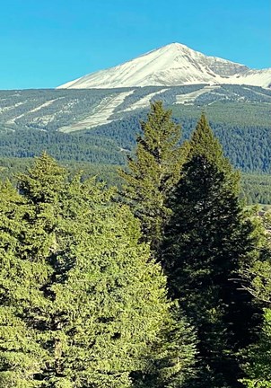 Framed 3D View Print