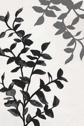Framed Botanical In Noir II Print
