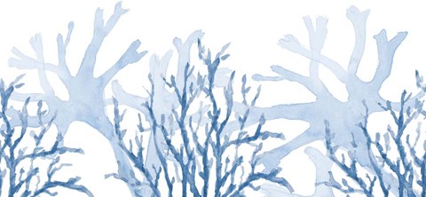 Framed Indigo Coral Coast Print