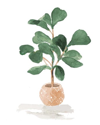 Framed Potted Fiddle Fig Tree I Print