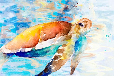 Framed Turtle Passing Through I Print