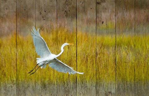 Framed Golden Hour Print