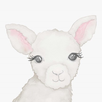 Framed Baby Lamb Print