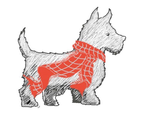 Framed Westie With Scarf Print