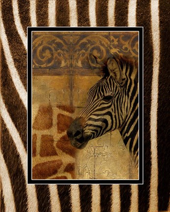 Framed Elegant Safari with Zebra Border Print