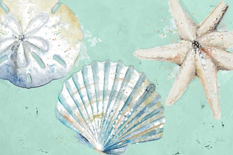 Framed Beach Shells on Turquoise Rectangle Print