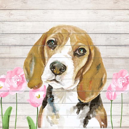 Framed Beagle With Flowers Print
