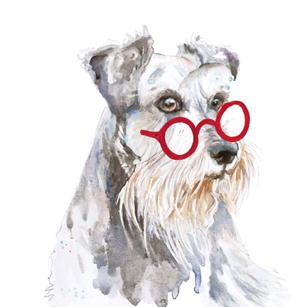 Framed Schnauzer With Glasses Print
