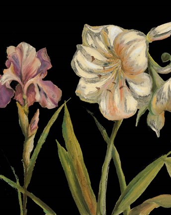 Framed Garden At Night I Print