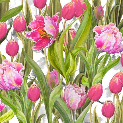 Framed Tulip Symphony I Print