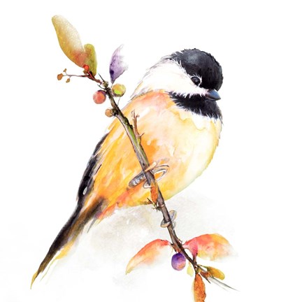 Framed Watercolor Chickadee I Print