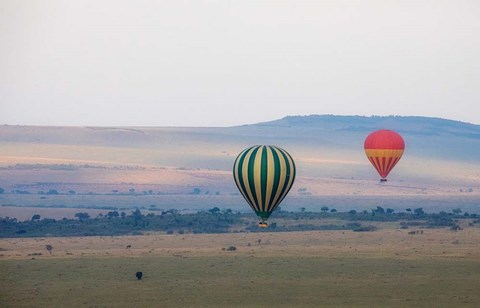 Framed Hot Air Balloons over Kenya I Print