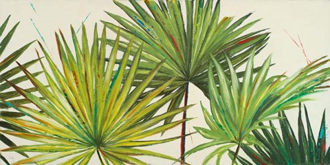 Framed Arte Verde II Print