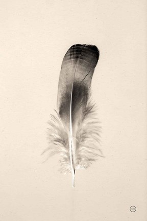Framed Floating Feathers IV Sepia Print