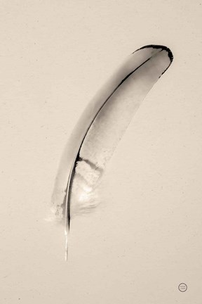 Framed Floating Feathers III Sepia Print