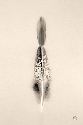 Framed Floating Feathers I Sepia Print