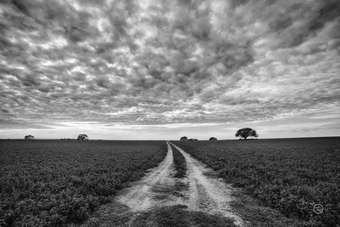 Framed Farm Road Print