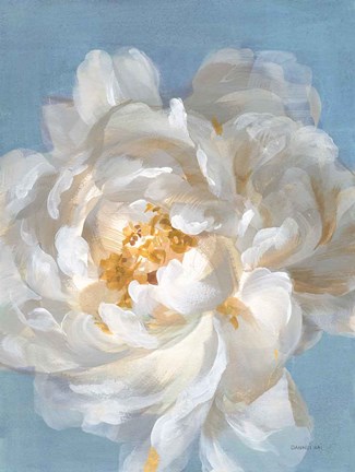 Framed Open Petals II Print