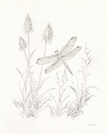 Framed Nature Sketchbook IV Print