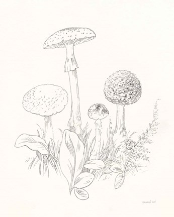 Framed Nature Sketchbook II Print