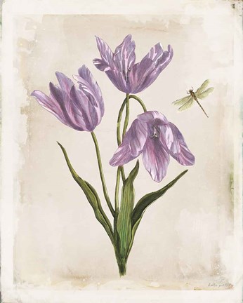 Framed Antiquarian Blooms III Purple Print