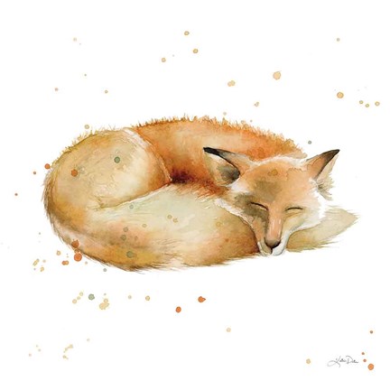 Framed Sleeping Fox Print