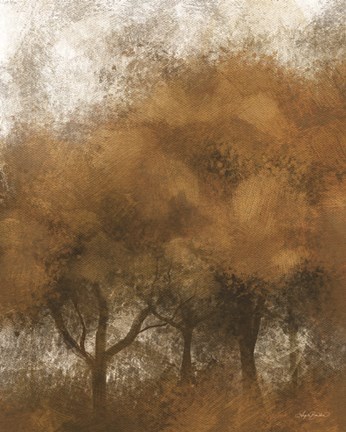 Framed Autumn Time Trees Print
