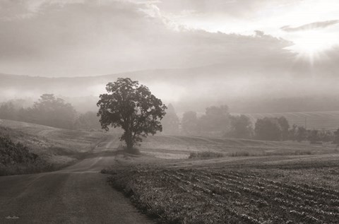 Framed Morning Haze II Print