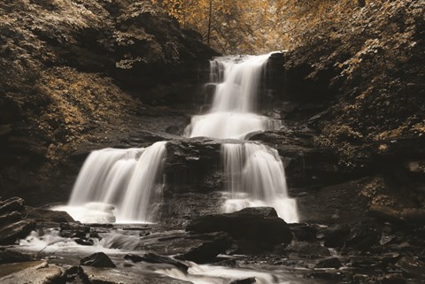 Framed Golden Waterfall II Print