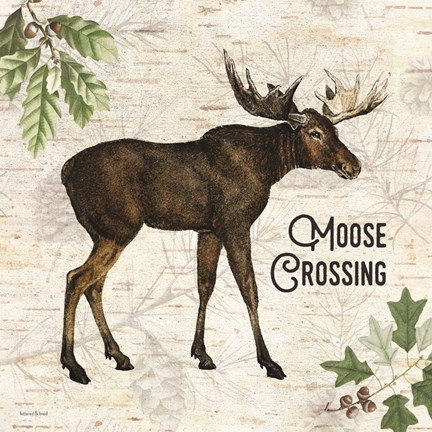 Framed Moose Crossing Print