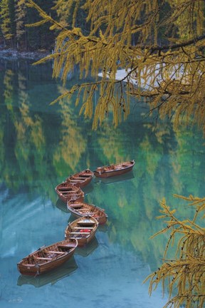 Framed S Curve Print