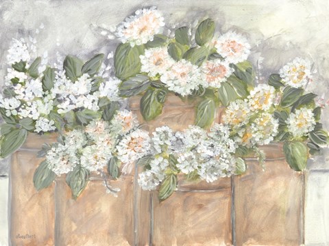 Framed Windowsill Blooms Print