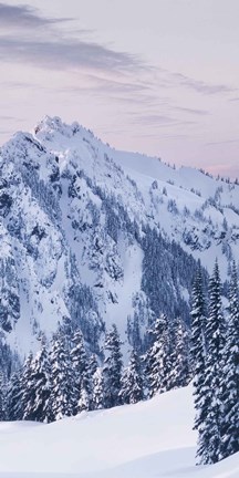 Framed Tatoosh Range Triptych II Print