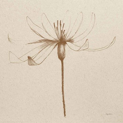 Framed Modern Vintage Floral III Print