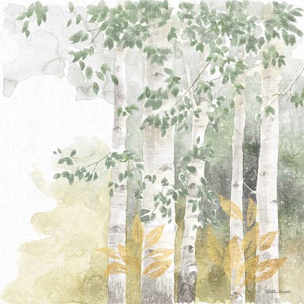 Framed Natures Leaves III Sage Print