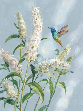 Framed Hummingbird Spring II Soft Blue Print