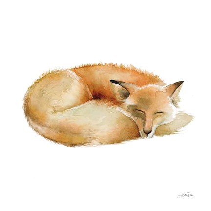 Framed Sleeping Fox on White Print