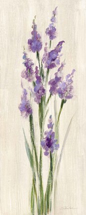 Framed Farm Flower II Light Print