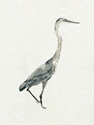 Framed Saltwater Herons I Print