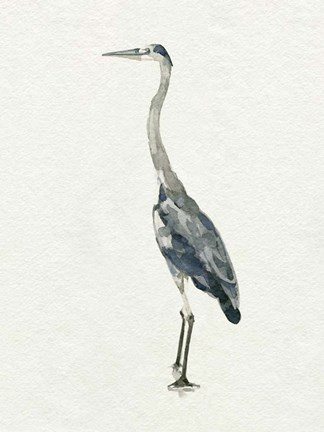 Framed Saltwater Herons II Print