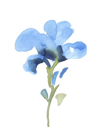 Framed Striking Blue Iris I Print