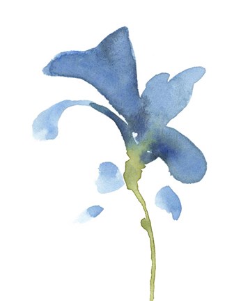 Framed Striking Blue Iris V Print